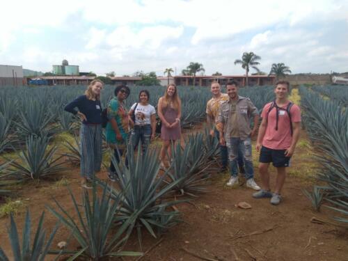 ITTO-TEFL-Students-in-Tequila-field